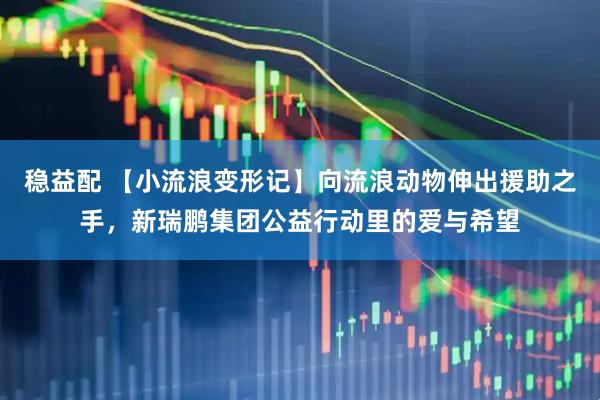 稳益配 【小流浪变形记】向流浪动物伸出援助之手，新瑞鹏集团公益行动里的爱与希望