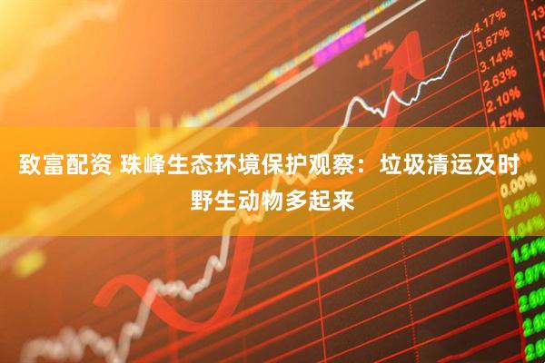 致富配资 珠峰生态环境保护观察：垃圾清运及时 野生动物多起来