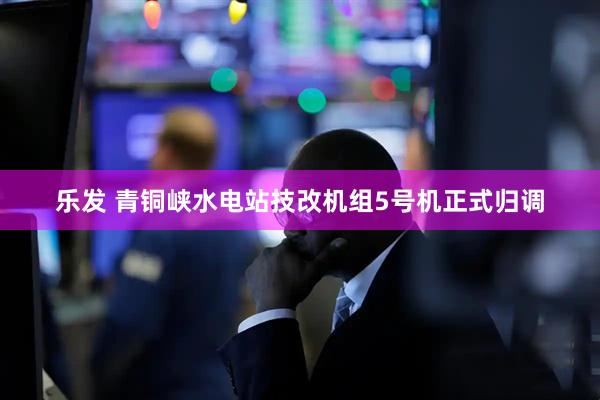 乐发 青铜峡水电站技改机组5号机正式归调