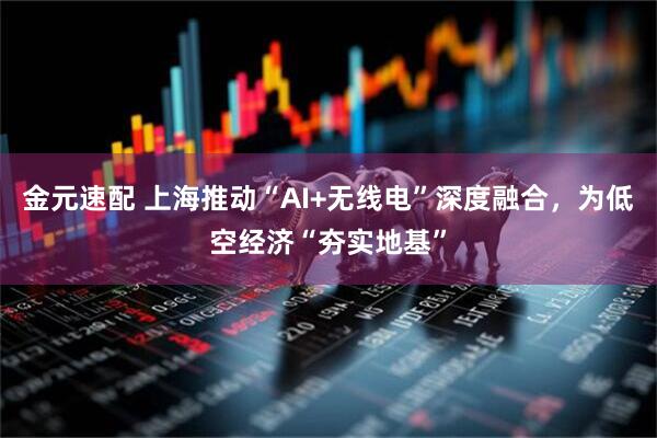 金元速配 上海推动“AI+无线电”深度融合，为低空经济“夯实地基”