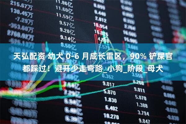 天弘配资 幼犬 0-6 月成长雷区，90% 铲屎官都踩过！避开少走弯路_小狗_阶段_母犬