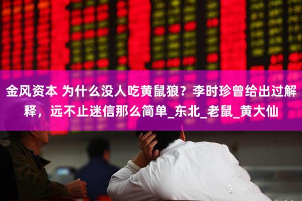 金风资本 为什么没人吃黄鼠狼？李时珍曾给出过解释，远不止迷信那么简单_东北_老鼠_黄大仙