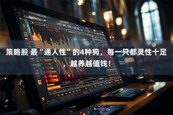 策略股 最“通人性”的4种狗，每一只都灵性十足，越养越值钱！