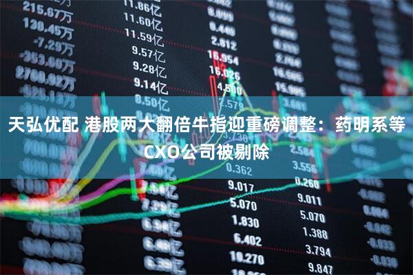 天弘优配 港股两大翻倍牛指迎重磅调整：药明系等CXO公司被剔除