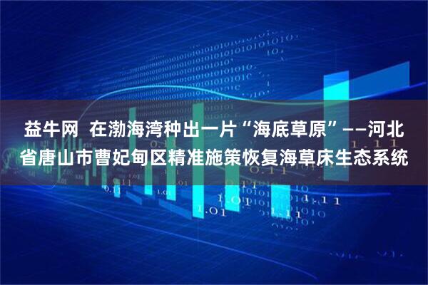 益牛网  在渤海湾种出一片“海底草原”——河北省唐山市曹妃甸区精准施策恢复海草床生态系统