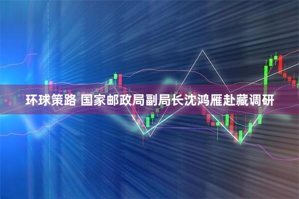 环球策路 国家邮政局副局长沈鸿雁赴藏调研