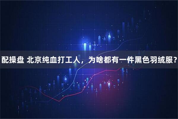 配操盘 北京纯血打工人，为啥都有一件黑色羽绒服？